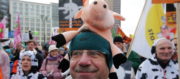 A demonstrators take part in a German farmers and consumer rights activists march to protest against the Transatlantic Trade and Investment Partnership (TTIP), mass husbandry and genetic engineering in Berlin, January 17, 2015 A demonstrators take part in a German farmers and consumer rights activists march to protest against the Transatlantic Trade and Investment Partnership (TTIP), mass husbandry and genetic engineering in Berlin, January 17, 2015 - Sputnik International