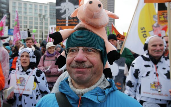 A demonstrators take part in a German farmers and consumer rights activists march to protest against the Transatlantic Trade and Investment Partnership (TTIP), mass husbandry and genetic engineering in Berlin, January 17, 2015 - Sputnik International