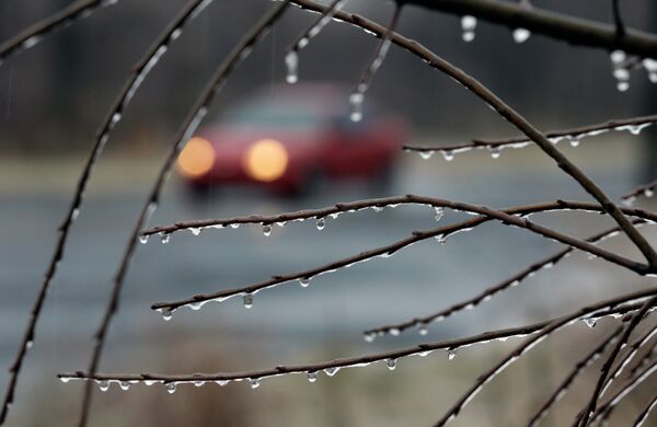 Butterfly Wings Hide Secret to Destroying Killer Raindrops Butterfly Wings Hide Secret to Destroying Killer Raindrops - Sputnik International