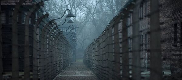 A general view of the former German Nazi concentration and extermination camp Auschwitz in Oswiecim - Sputnik International