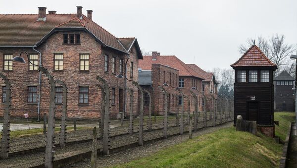 Auschwitz concentration camp Museum. 20.01.2015 in Oswiecim, Poland. In the picture: barbed wire fence surrounded the camp - Sputnik International