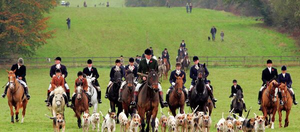 The UK government may abolish a law dating from the medieval era that enables British lords to use private property located within their territories for hunting The UK government may abolish a law dating from the medieval era that enables British lords to use private property located within their territories for hunting - Sputnik International
