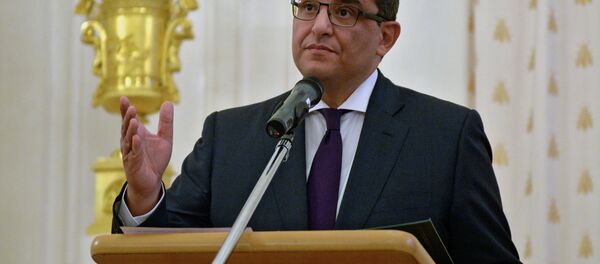 Egyptian Ambassador to Russia Mohammed Abdelsattar Al-Badri Egyptian Ambassador to Russia Mohammed Abdelsattar Al-Badri - Sputnik International