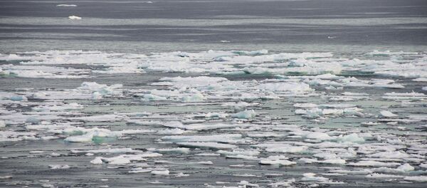 Арктика - Sputnik International