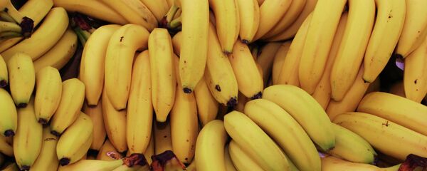 Banana - Sputnik International