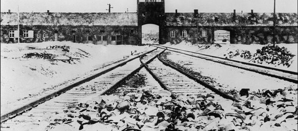 Auschwitz Concentration Camp - Sputnik International