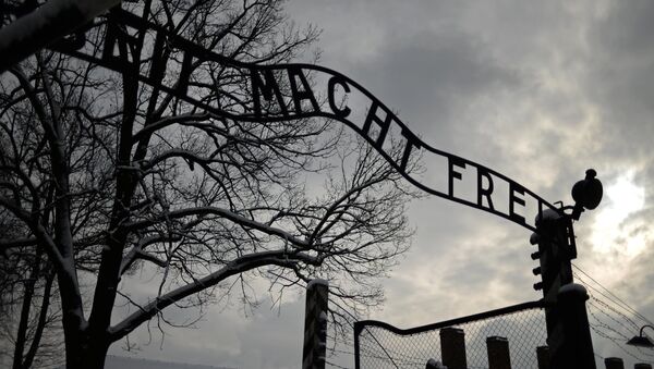 The central gate of the former Auschwitz-Birkenau concentration camp in Auschwitz - Sputnik International