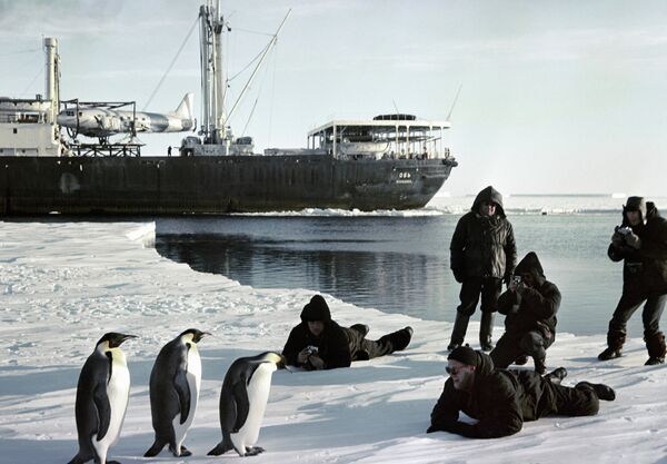 The Kingdom of Ice: Antarctica in Pictures - Sputnik International