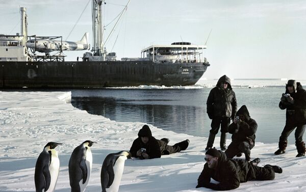 Mariners aboard icebreaker Ob taking photo of penguins - Sputnik International