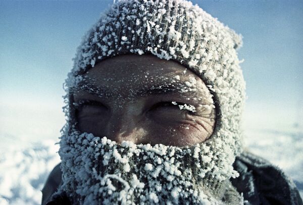 The Kingdom of Ice: Antarctica in Pictures - Sputnik International