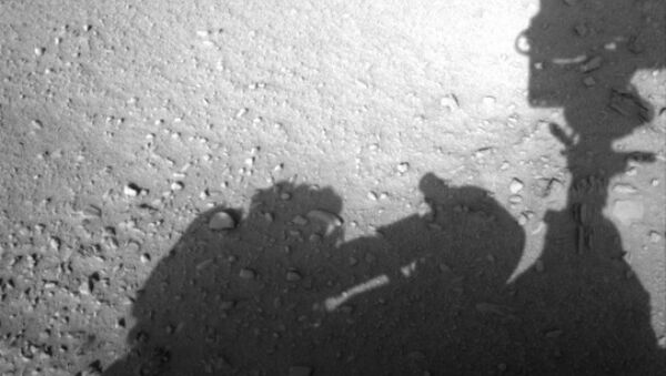 This image is believed to have captured the shadow of human shaped workman on Mars fixing the Rover - Sputnik International