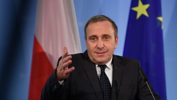 Poland's Foreign Minister Grzegorz Schetyna - Sputnik International