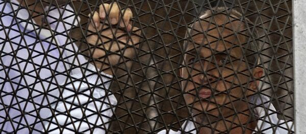 Australian journalist Peter Greste of Al-Jazeera - Sputnik International