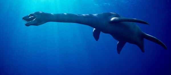 Plesiosaur, artwork. Plesiosaurs were marine reptiles that inhabited the seas throughout the Jurassic and Cretaceous periods - Sputnik International