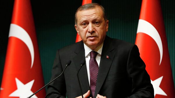 Turkey's President Tayyip Erdogan addresses the media at the Presidential Palace in Ankara - Sputnik International