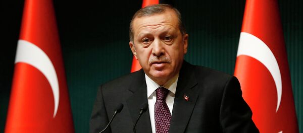 Turkey's President Tayyip Erdogan addresses the media at the Presidential Palace in Ankara - Sputnik International