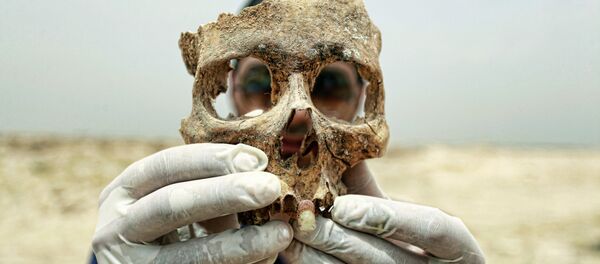 A forensic expert holds up part of a human skull found in a mass grave some 10 kilometers from the Iraqi central shrine city of Najaf. File photo - Sputnik International