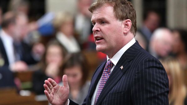 Canada's Foreign Minister John Baird speaks during Question Period in the House of Commons on Parliament Hill in Ottawa in this November 24, 2014 file photo. - Sputnik International
