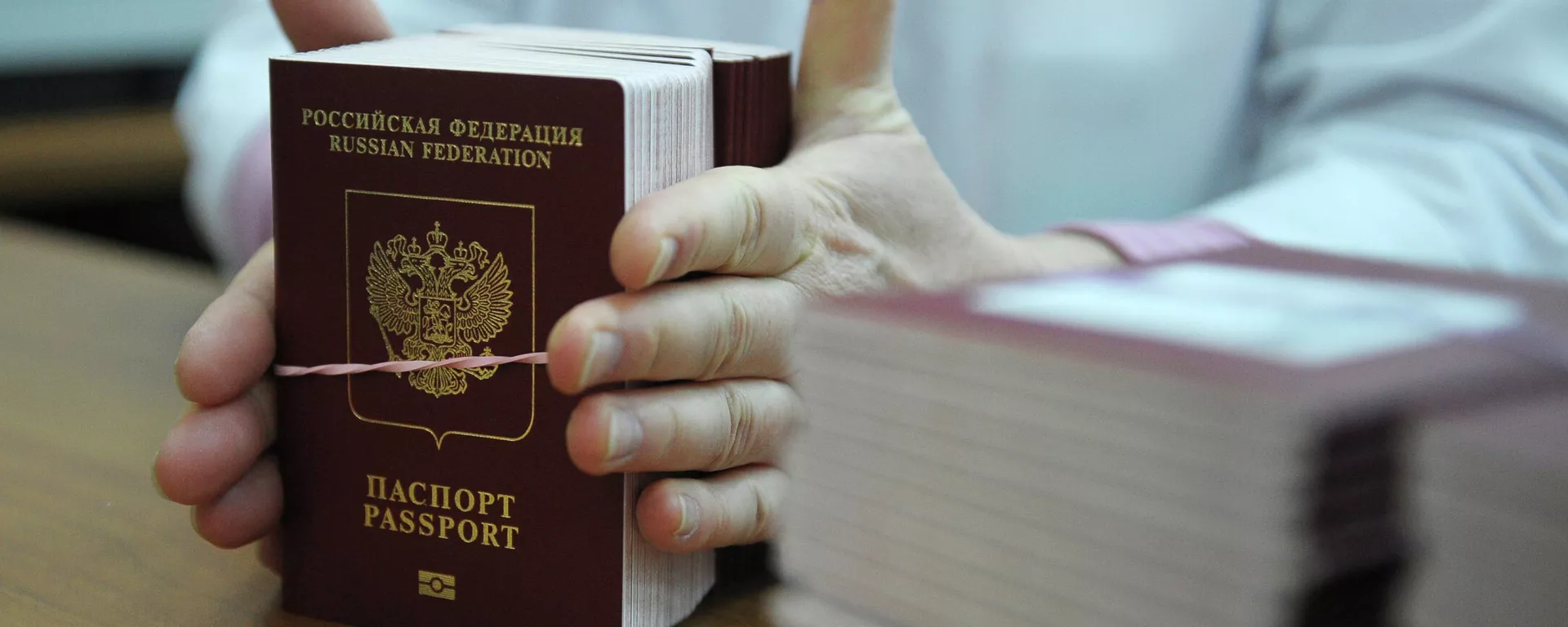 News conference on launch of biometric passports for Russian citizens News conference on launch of biometric passports for Russian citizens - Sputnik International, 1920, 26.12.2024