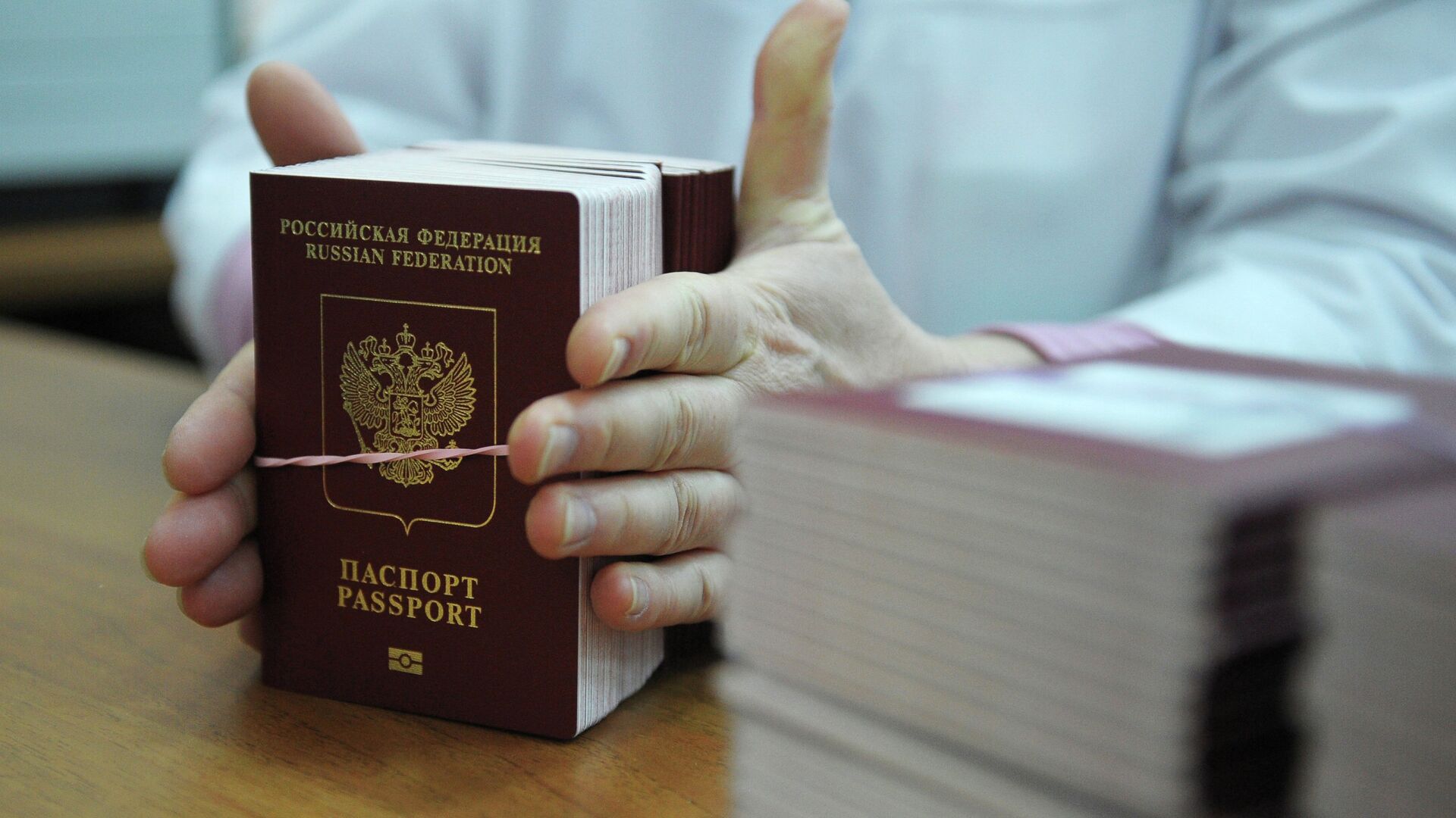 News conference on launch of biometric passports for Russian citizens - Sputnik International, 1920, 04.08.2022