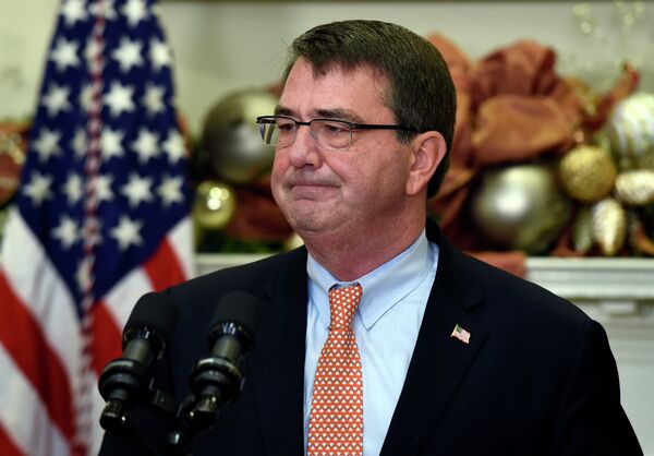 US Defense Secretary Ashton Carter  - Sputnik International