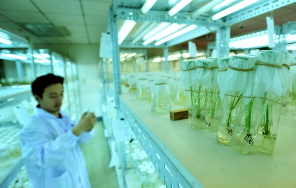 ‘Deadly Obsession With Secrecy' Slammed as US Claims Wuhan Lab Staff Had COVID Symptoms in Fall 2019 ‘Deadly Obsession With Secrecy' Slammed as US Claims Wuhan Lab Staff Had COVID Symptoms in Fall 2019 - Sputnik International