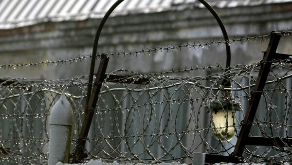 A barbed wire - Sputnik International