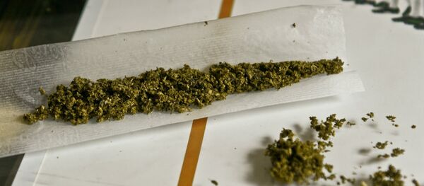 Obama Budget Allows for Pot Legalization in Washington DC Obama Budget Allows for Pot Legalization in Washington DC - Sputnik International