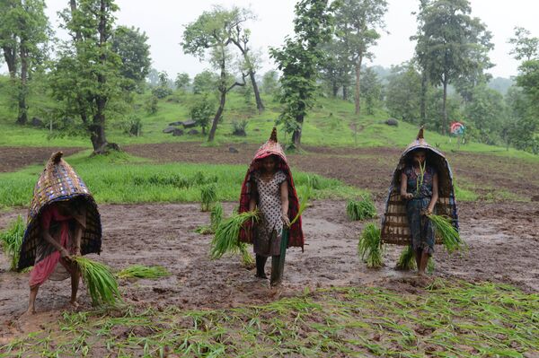 Tears, Fears And Doubts Over 'Credible Witnesses': A Day In The Life Of A UK Immigration Judge - Sputnik International