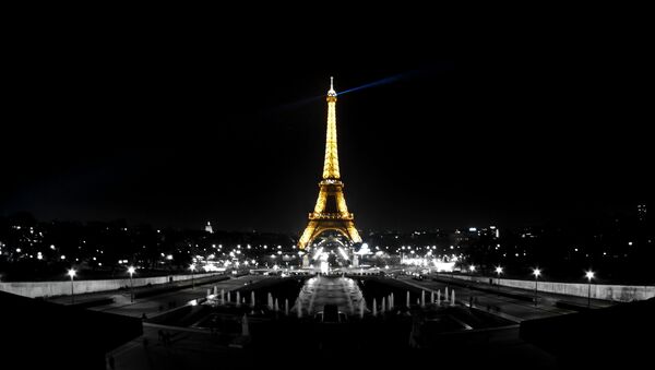 The Eiffel Tower - Sputnik International