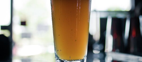 Pint of lager Pint of lager - Sputnik International