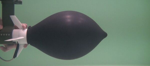 Researchers took the octopus as their inspiration for the propulsion mechanism of an underwater device, which has managed to reach unprecedented speeds. Researchers took the octopus as their inspiration for the propulsion mechanism of an underwater device, which has managed to reach unprecedented speeds. - Sputnik International