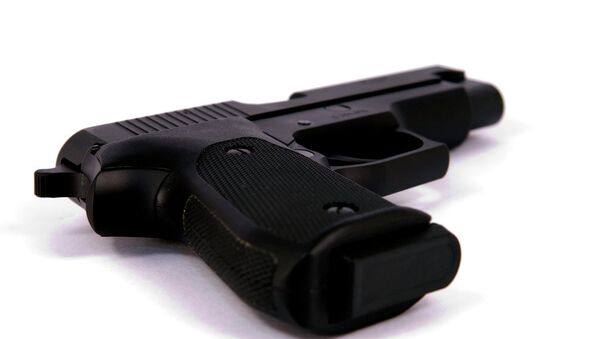 Toddler shoots parents with mother's handgun - Sputnik International
