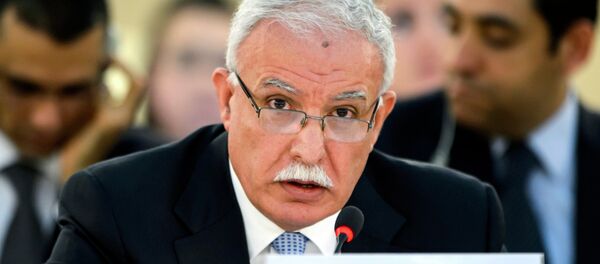 Palestinian Foreign Minister Riyad al-Maliki delivers a speech during an emergency session of the United Nations (UN) Human Rights Council on the Gaza crisis at the UN Offices in Geneva on July 23, 2014 Palestinian Foreign Minister Riyad al-Maliki delivers a speech during an emergency session of the United Nations (UN) Human Rights Council on the Gaza crisis at the UN Offices in Geneva on July 23, 2014 - Sputnik International