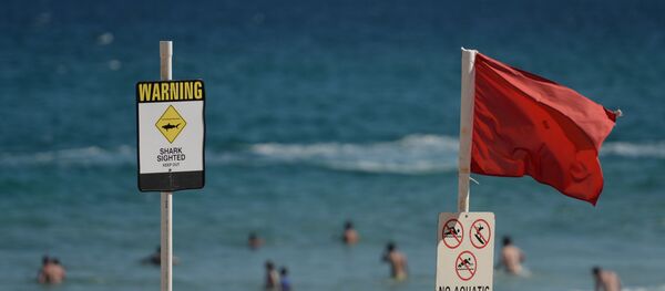 Swimmers are seen in the water despite shark warning signs posted on the beach in the northern New South Wales city of Newcastle on January 17, 2015 - Sputnik International