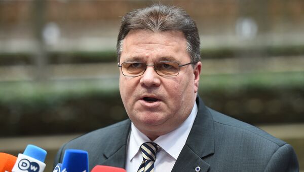 Lithuania's Foreign Minister Linas Linkevicius talks to journalists as he arrives for an emergency meeting of Foreign Affairs Council at the European Council headquarters in Brussels on January 29, 2015 - Sputnik International
