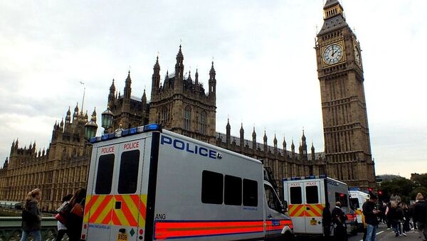 Police and protesters near the Houses of Parliament, London - Sputnik International