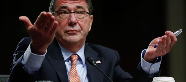 Ashton Carter, U.S. President Barack Obama's nominee to be secretary of defense, testifies before a Senate Armed Services Committee confirmation hearing on Capitol Hill in Washington, in this February 4, 2015 file photo - Sputnik International