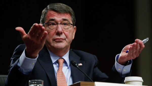 Ashton Carter, U.S. President Barack Obama's nominee to be secretary of defense, testifies before a Senate Armed Services Committee confirmation hearing on Capitol Hill in Washington, in this February 4, 2015 file photo - Sputnik International