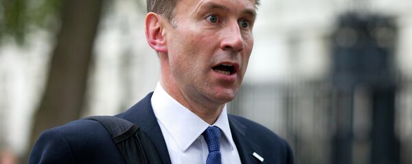 British Foreign Secretary Jeremy Hunt British Foreign Secretary Jeremy Hunt - Sputnik International