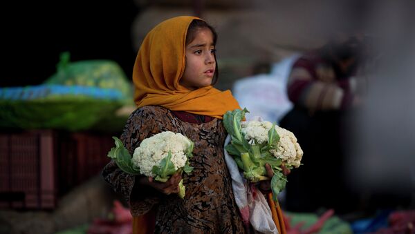 A Pakistani girl, who is displaced with her family from a Pakistani tribal area due to security forces' operations against militants, waits for customers to buy cauliflower at a fruit and vegetable market in Islamabad, Pakistan, Monday, Feb. 9, 2015. - Sputnik International