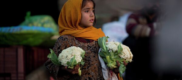A Pakistani girl, who is displaced with her family from a Pakistani tribal area due to security forces' operations against militants, waits for customers to buy cauliflower at a fruit and vegetable market in Islamabad, Pakistan, Monday, Feb. 9, 2015. A Pakistani girl, who is displaced with her family from a Pakistani tribal area due to security forces' operations against militants, waits for customers to buy cauliflower at a fruit and vegetable market in Islamabad, Pakistan, Monday, Feb. 9, 2015. - Sputnik International