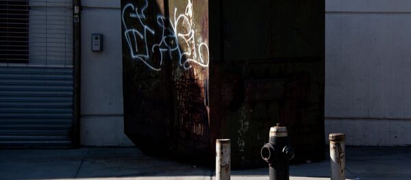 A Florida couple had too much to drink at the Seminole Hard Rock Casino and decided to sleep in a dumpster at a nearby gas station A Florida couple had too much to drink at the Seminole Hard Rock Casino and decided to sleep in a dumpster at a nearby gas station - Sputnik International