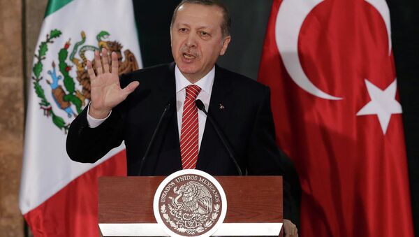 Turkey's President Tayyip Erdogan gives a speech to the media next to Mexico's President Enrique Pena Nieto (not pictured) during an official welcoming ceremony for Erdogan, at the National Palace in Mexico City February 12, 2015. - Sputnik International
