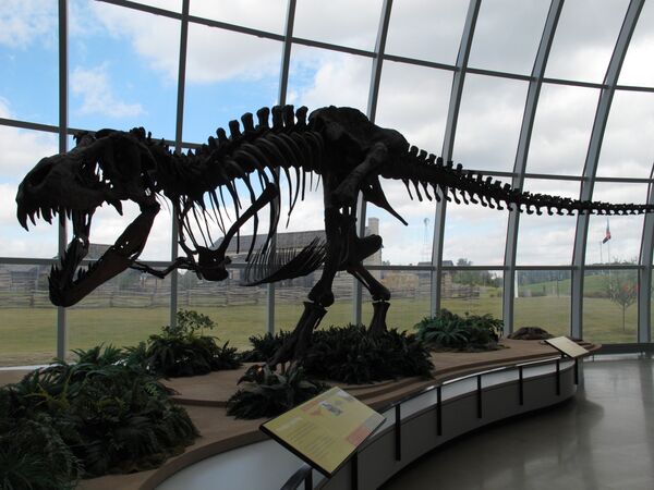 The skeleton of a dinosaur at Discovery Park of America in Union City, Tennessee. The skeleton of a dinosaur at Discovery Park of America in Union City, Tennessee. - Sputnik International