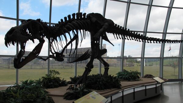 The skeleton of a dinosaur at Discovery Park of America in Union City, Tennessee. - Sputnik International