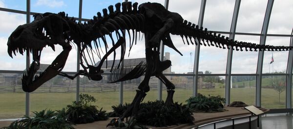 The skeleton of a dinosaur at Discovery Park of America in Union City, Tennessee. The skeleton of a dinosaur at Discovery Park of America in Union City, Tennessee. - Sputnik International