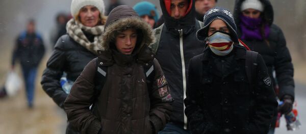 A group of Kosovars walk along a road after having illegally crossed the Hungarian-Serbian border near the village of Asotthalom February 6, 2015 A group of Kosovars walk along a road after having illegally crossed the Hungarian-Serbian border near the village of Asotthalom February 6, 2015 - Sputnik International