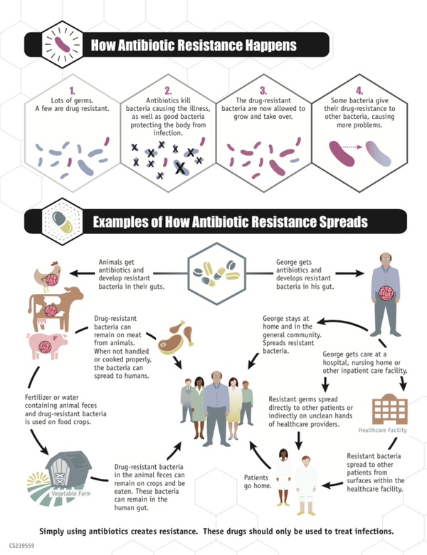 Infographic from the 2013 CDC report on antibiotic-resistant drugs. Infographic from the 2013 CDC report on antibiotic-resistant drugs. - Sputnik International