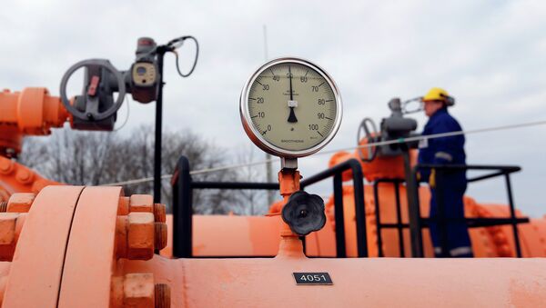 An engineer checks the gas distribution system in Beregdaroc, one of several points where Russian gas crosses into the European Union. File photo - Sputnik International